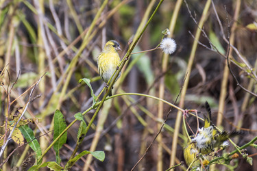 Similar image 21647019