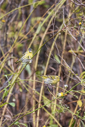 Similar image 21647020