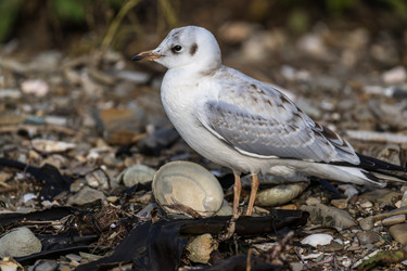 Similar image 21639023