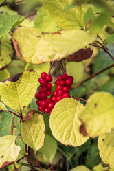 Similar image 21640483