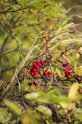 Similar image 21640484