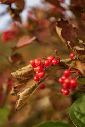 Similar image 21647021