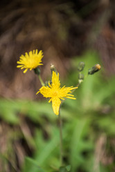 Similar image 21647022