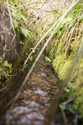 Similar image 21639024