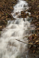 Similar image 21639025