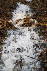 Similar image 21639027