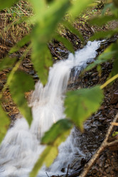 Similar image 21639029