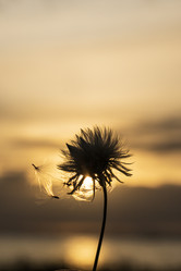 Similar image 21639032