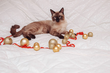 Similar image 21646316