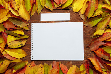 Similar image 21646317