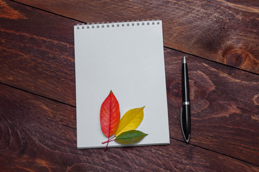 Similar image 21646318