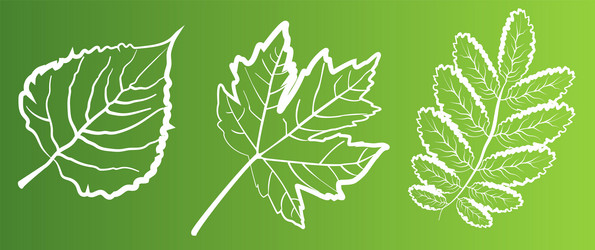 Similar image 21645405