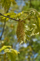 Similar image 21638653