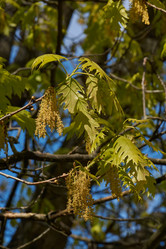 Similar image 21639984