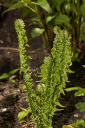 Similar image 21638656