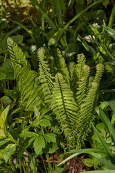 Similar image 21638659