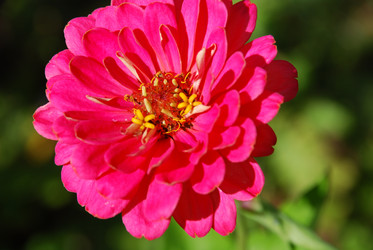 Similar image 21639045