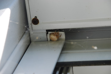 Similar image 21639048