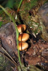 Similar image 21639049