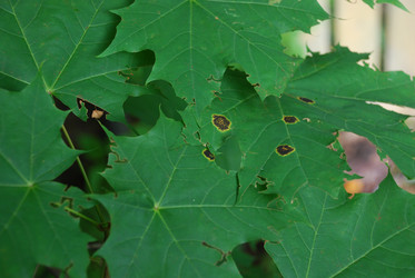 Similar image 21639051