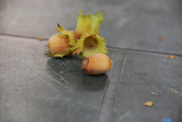 Similar image 21639054