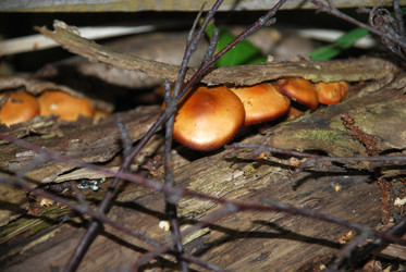 Similar image 21639055