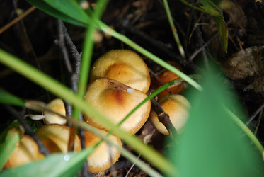 Similar image 21639061