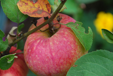 Similar image 21639066