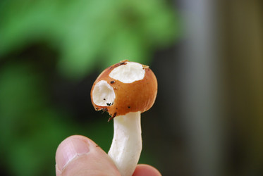 Similar image 21639067