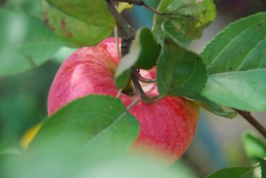 Similar image 21639069