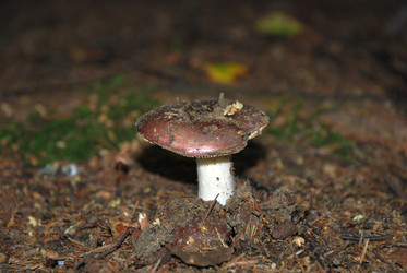 Similar image 21639070