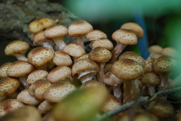 Similar image 21639077