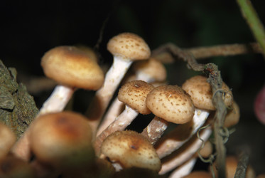 Similar image 21639079