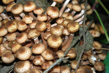 Similar image 21639081