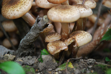 Similar image 21639083