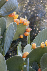 Similar image 21638762