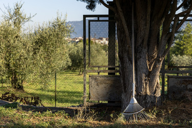 Similar image 21638763