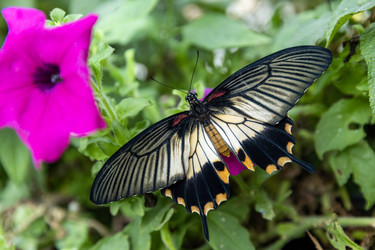 Similar image 21638764