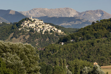 Similar image 21638766