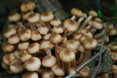 Similar image 21639095