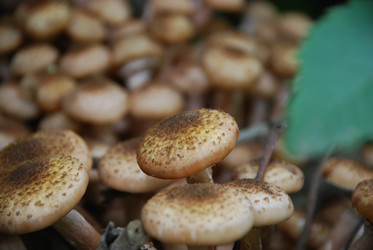 Similar image 21639097