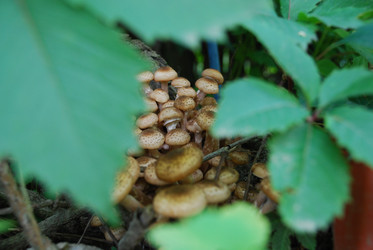 Similar image 21639099