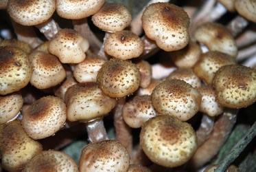 Similar image 21639101