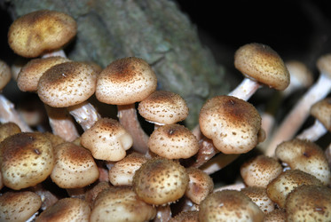 Similar image 21639103