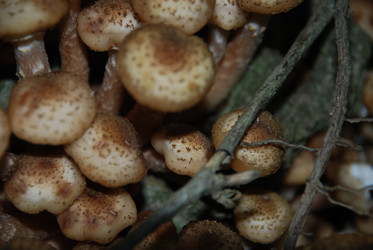 Similar image 21639107