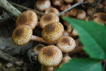 Similar image 21639109