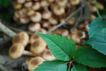 Similar image 21639111