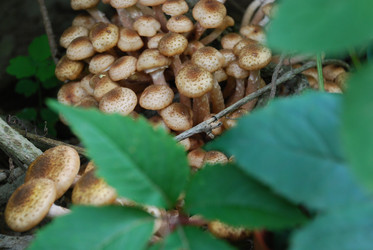 Similar image 21639113