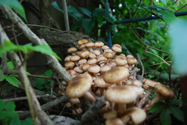 Similar image 21639115