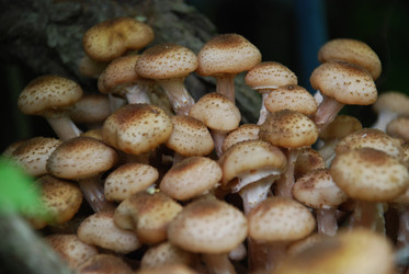 Similar image 21639117